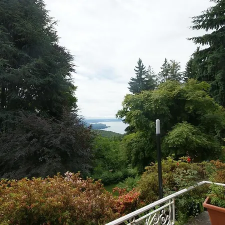 Fragola Di Bosco Premeno